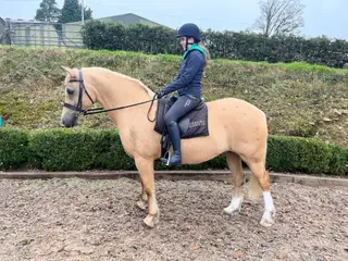QUALITY SEC D/M&M - ABBEYVALE FREE FALLIN