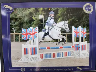 Super star PC/ Jumping pony