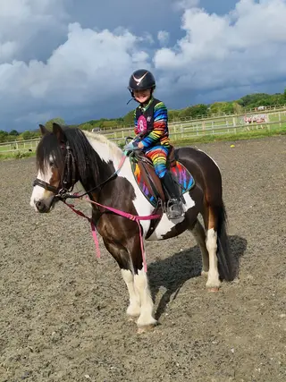 Eye Catching All-Round Cob Type – Ideal PC Prospect