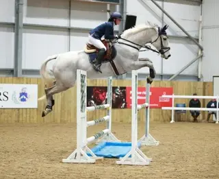 Schoolmistress with Showjumping & Hunting Experience- DEE