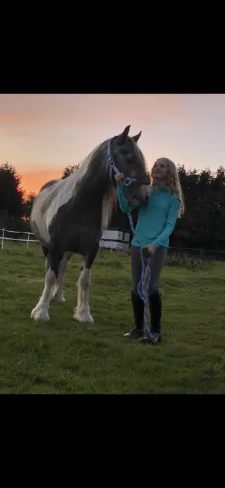 Bluebelle 