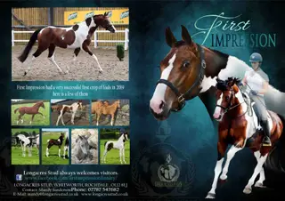 Advert photo