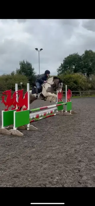 Sports cob with endless potential