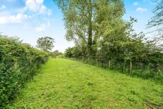 Advert photo