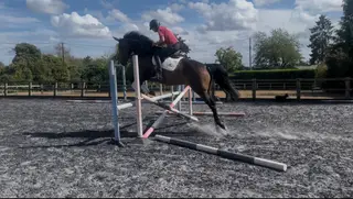 Homebred to event.