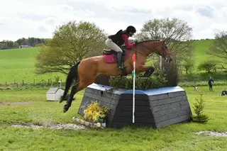 True gentleman allrounder