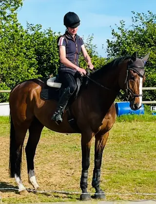 Lakeside Lad 16.2 aged 10
