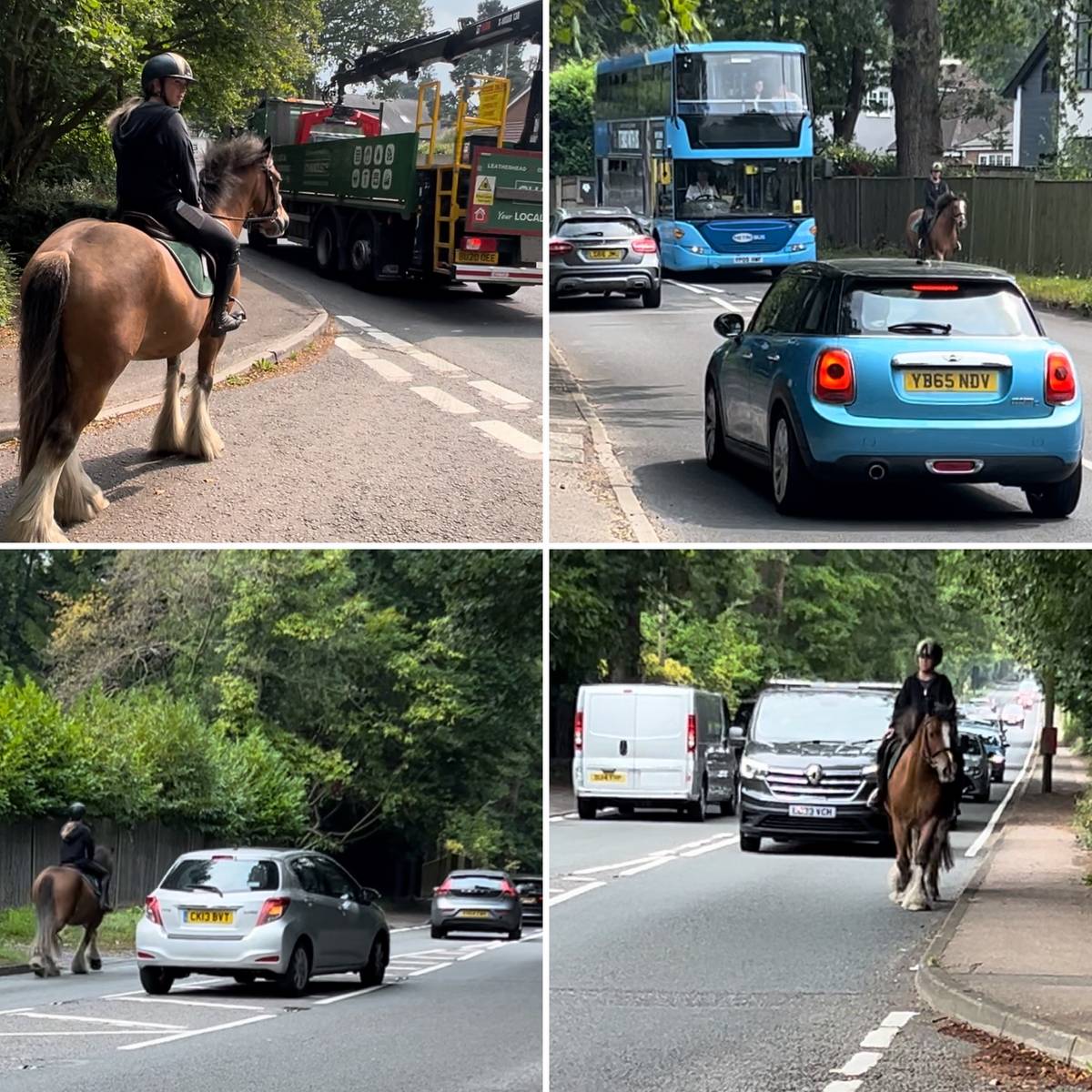 What Age Is A Lovey Safe at Askew blog