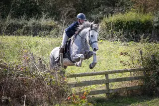 Fun allrounder 