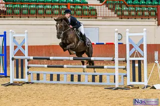 Washington Minx - talented allrounder looking for confident teenager/ small adult 