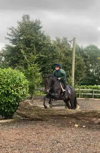 Safe mother daughter share hack competition horse 