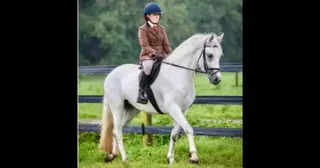 Grace - the real life unicorn everyone is looking for!