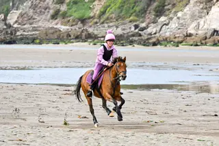Bobbie - 13hh - Welsh B 