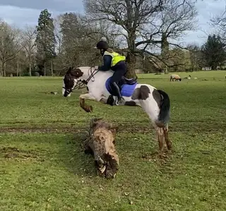 Honest All-Rounder Ready for His Next Partner
