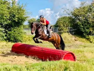 ANNIE – YOUR NEXT FOREVER SCHOOLMASTER
