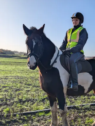 Summer - Super Sensible Cob