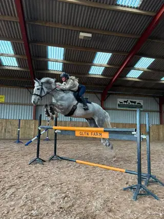 Talented Gelding With Exceptional Potential 