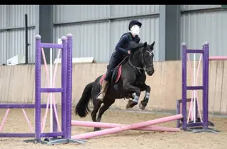 Tony. 13hh gelding 2nd pony