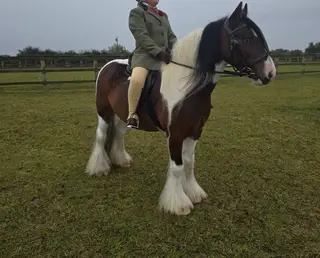 Fun and Safe First Pony