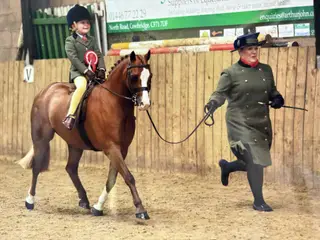 Top Class Lead Rein Show Hunter Pony