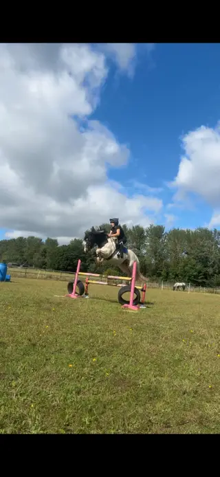Guinness 