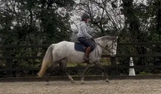 POTENTIAL PC/WHP/BS - Qualified BN 2nd rounds 2026