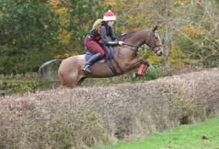 Fun jumping/hunting mare.
