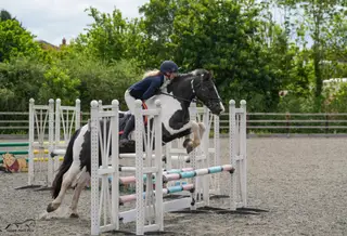 Riding club fun horse 