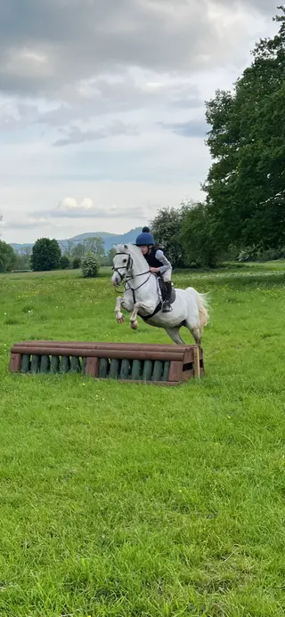 Fun Pony - 11.2