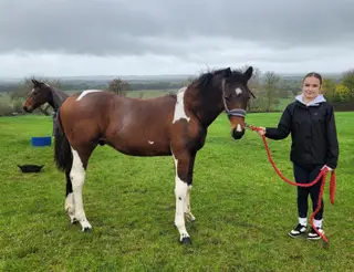 🌟 Bred to Jump! 🌟