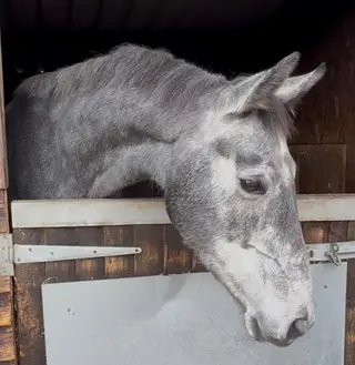 Classy Young Prospect Related to 4* Eventers