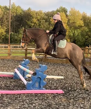 Happy Hacker/ Family allrounder