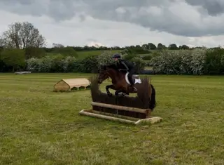 Dunbeggan Barkley