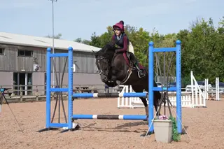 Competition Pony