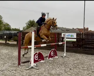 Amateurs/competitive teenagers jumping machine!