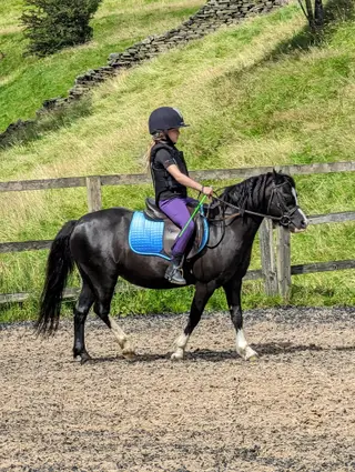 Lead rein/first ridden Mothers dream