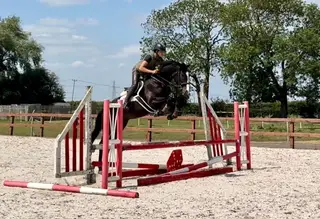5yr old all rounder