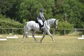 Amateurs Event/SJ/Dressage