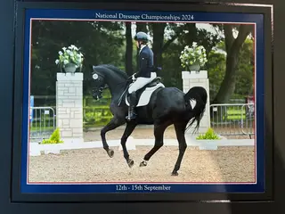 Perfect Schoolmaster