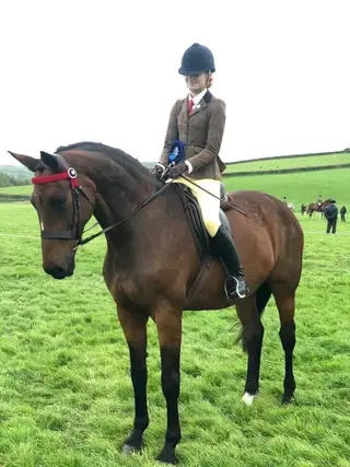 Superb mare by Krack C