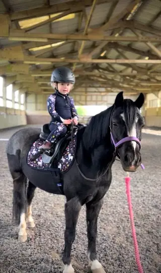 Lead Rein/ First/ Second Pony for Sale