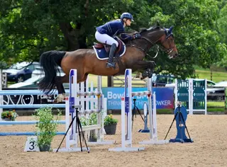 Super Careful Flashy Gelding