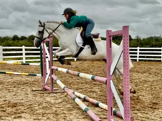 Captain - a pony of a lifetime!