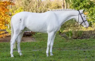 Outstanding Young 14.2