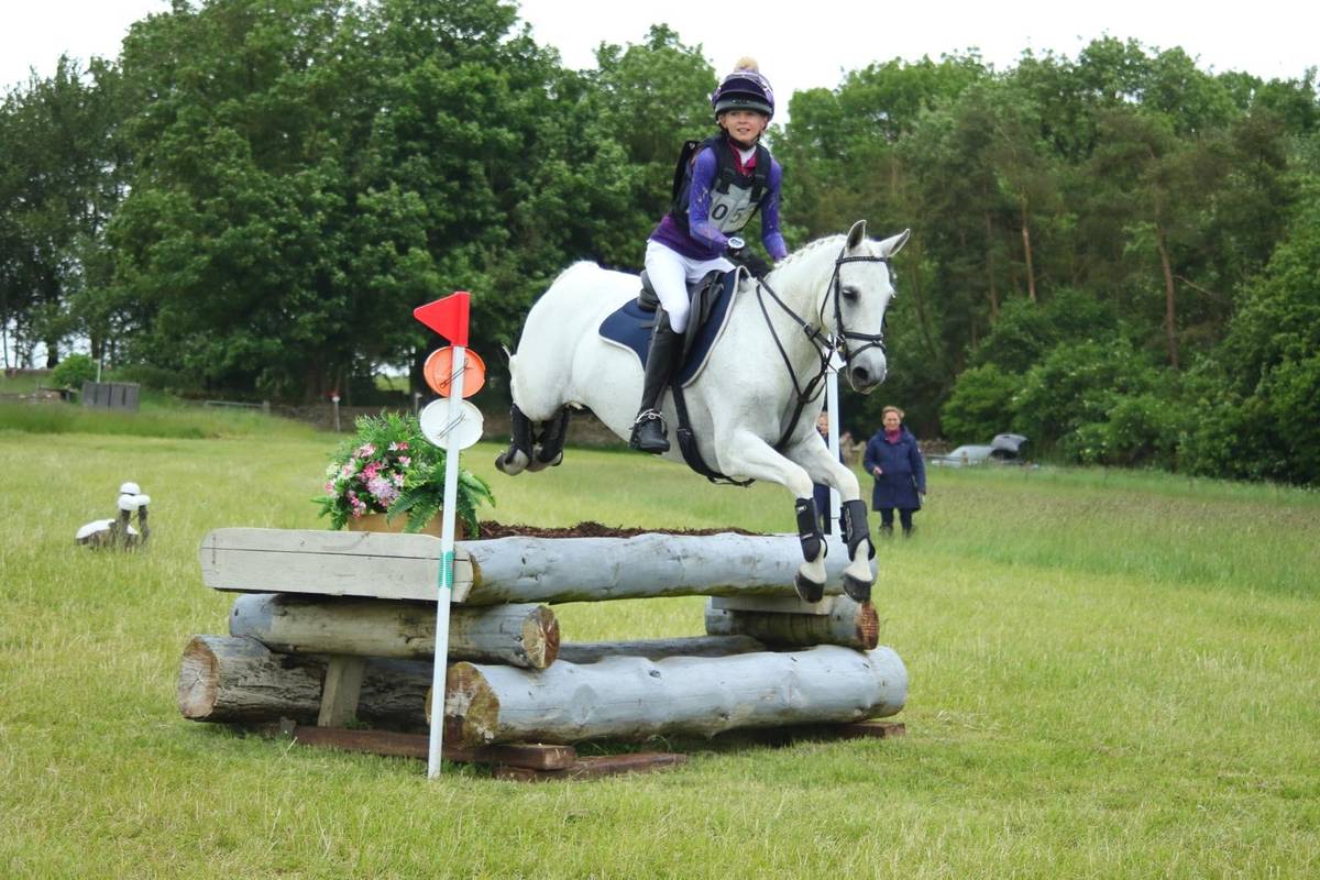 Pony for Sale BE/ BS/ NSEA/ PC Teams