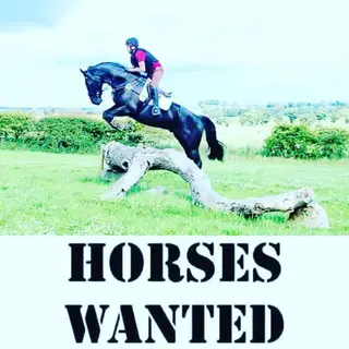 Horses wanted 