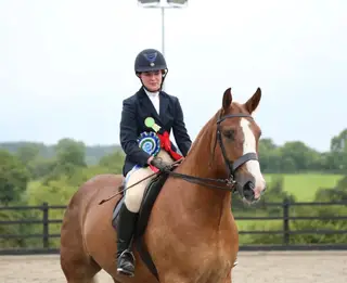 Winston – The Ultimate Gentleman Allrounder