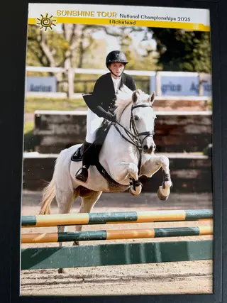 14.1 New Forest Pony 