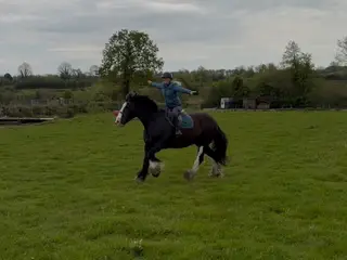 Kitty- THE ULTIMATE FAMILY HORSE