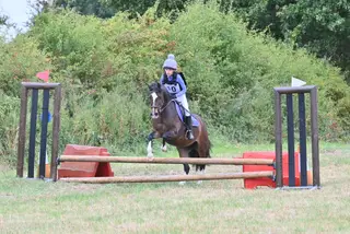 Been there done that pony club allrounder 